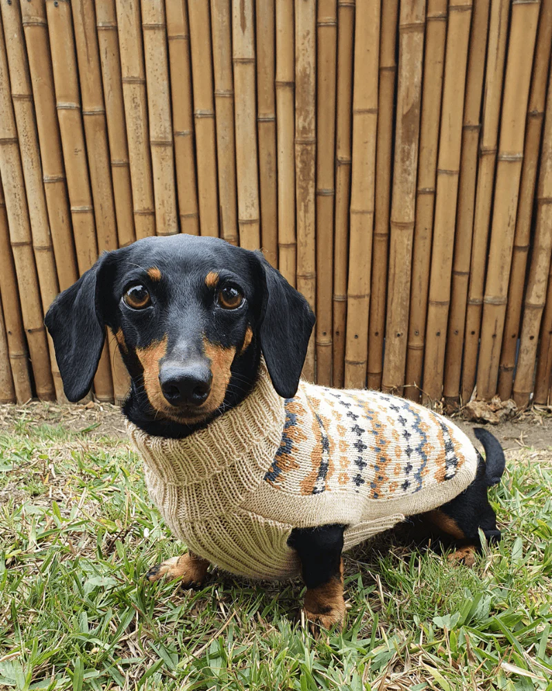 Golden Dreams Alpaca Dog Sweater (FINAL SALE) - Image 8
