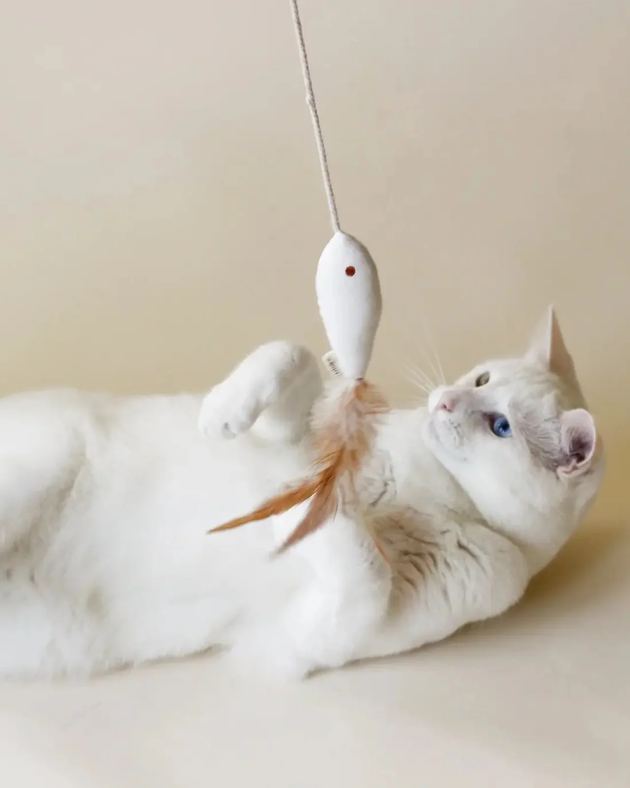 Golden Fish Catnip Toy