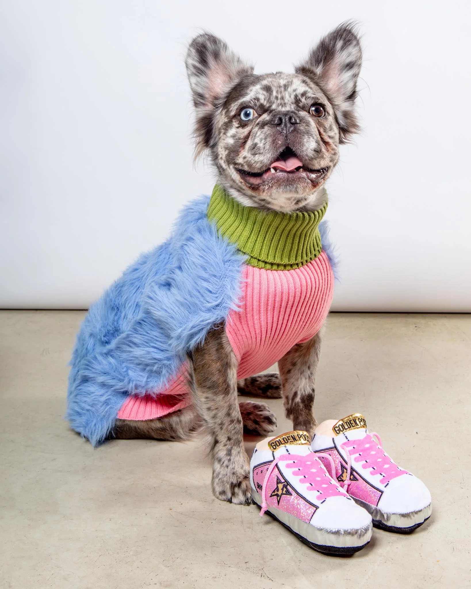 Golden Pooch Sneaker Plush Dog Toy in Pink