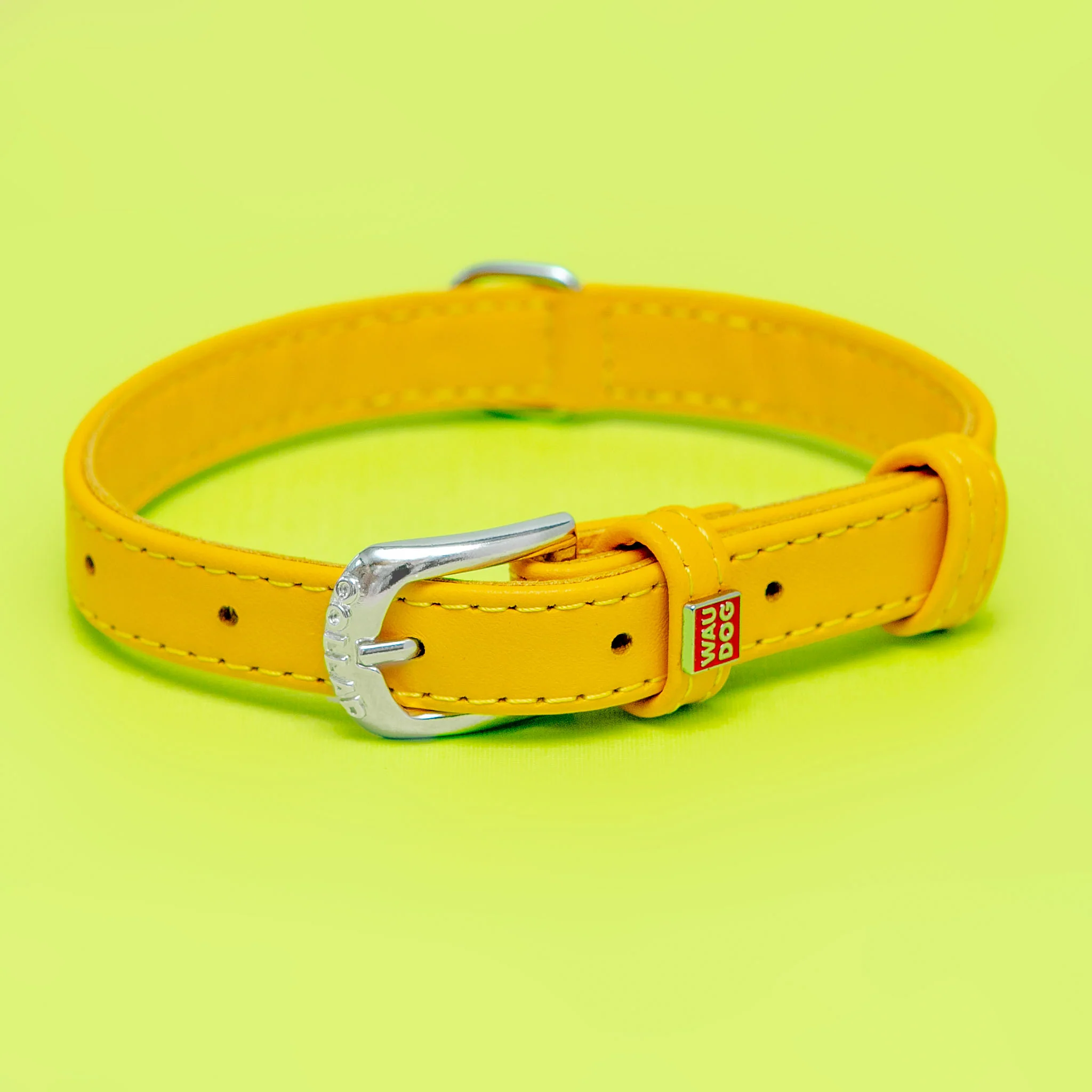 Golden Sunshine Leather Dog Collar << FINAL SALE >>