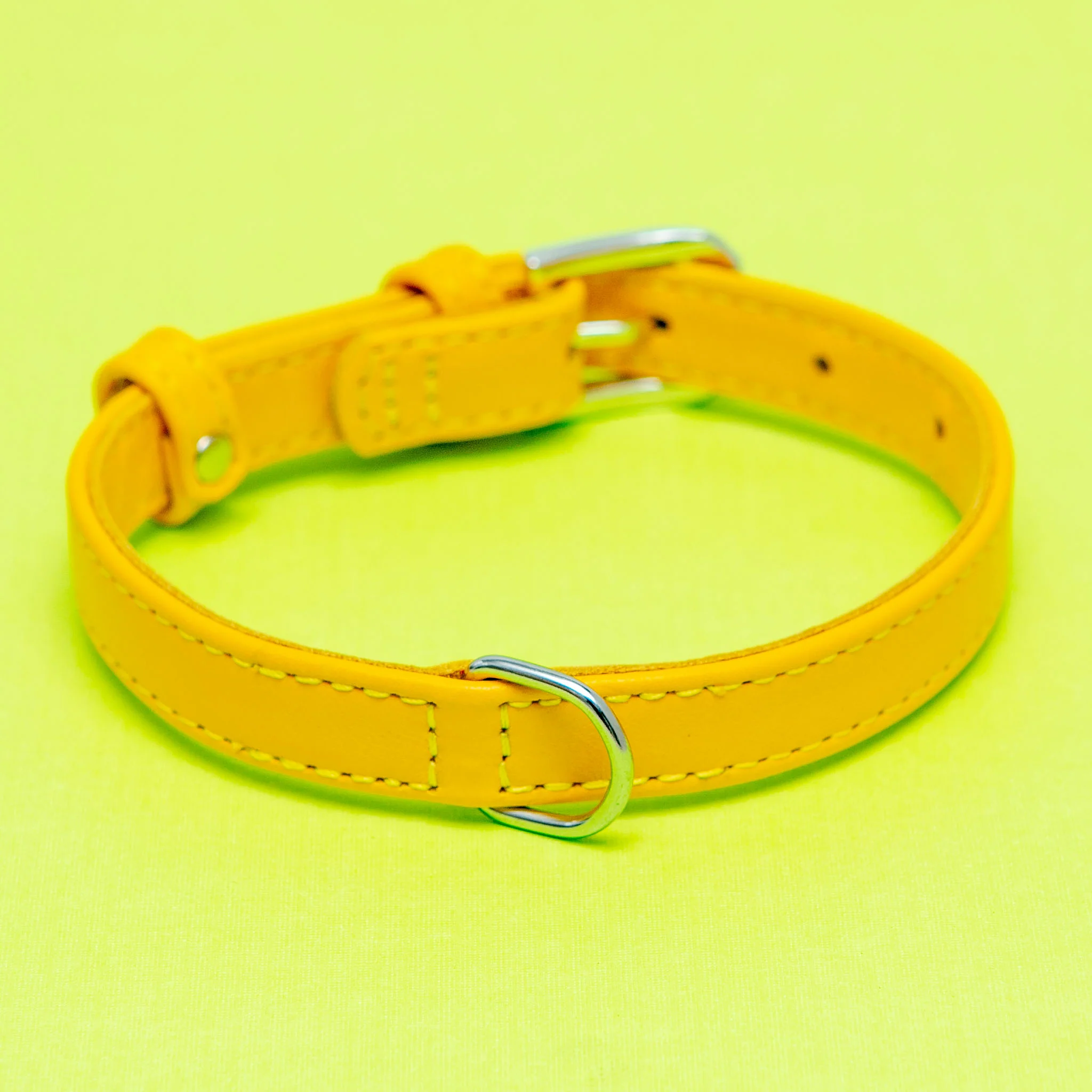 Golden Sunshine Leather Dog Collar << FINAL SALE >> - Image 3