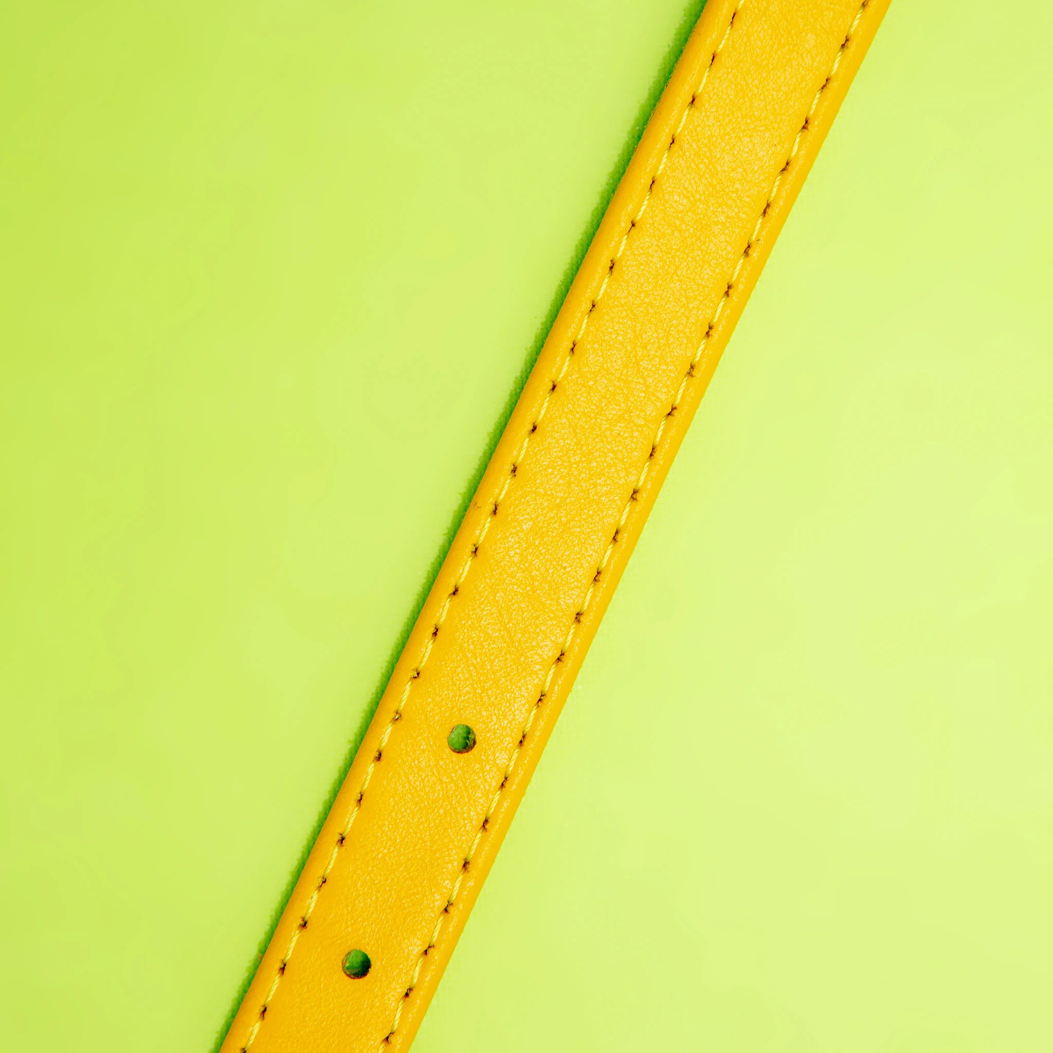 Golden Sunshine Leather Dog Collar << FINAL SALE >> - Image 4