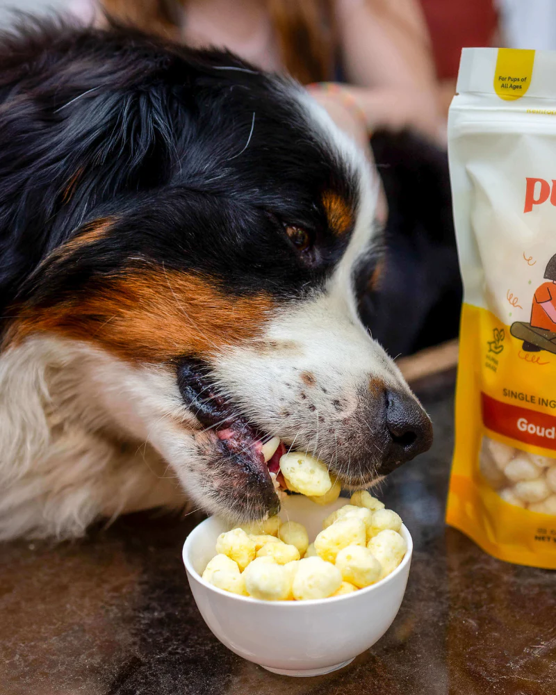 Gouda Cheese Crunchies Training Dog Treats - Image 8