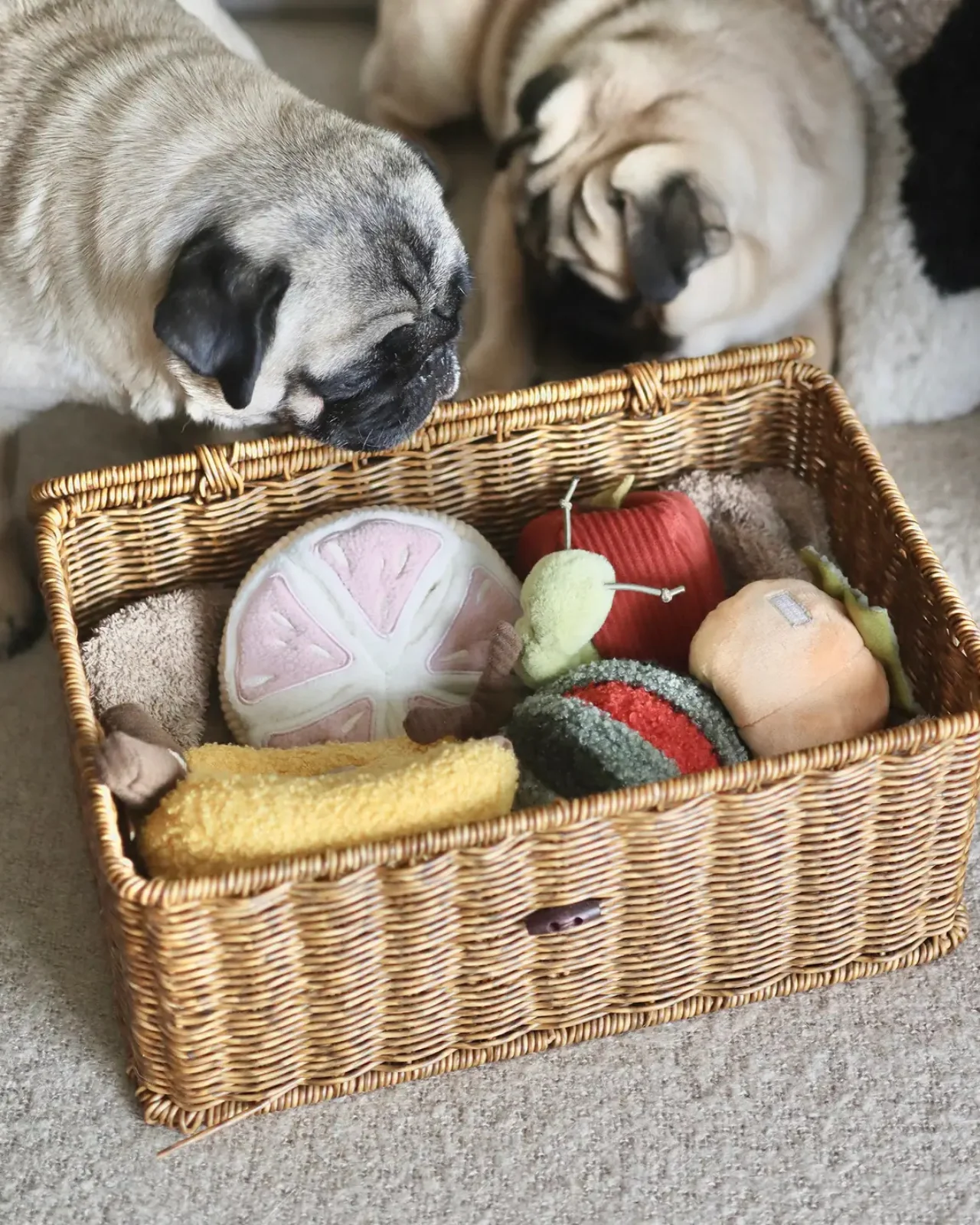 Grapefruit Plush Enrichment Dog Toy - Image 3