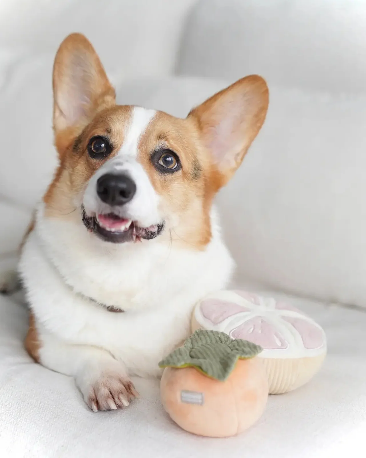 Grapefruit Plush Enrichment Dog Toy - Image 4
