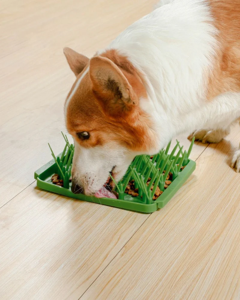 Grass Foraging Mat For Dogs - Image 3