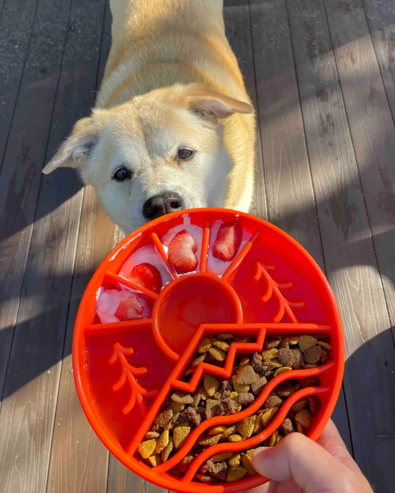 Great Outdoors Slow Feeder Dog Bowl (Made in the USA) - Image 9