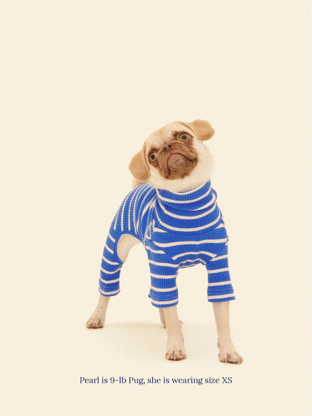 Greek to Me Dog Onesie - Image 2