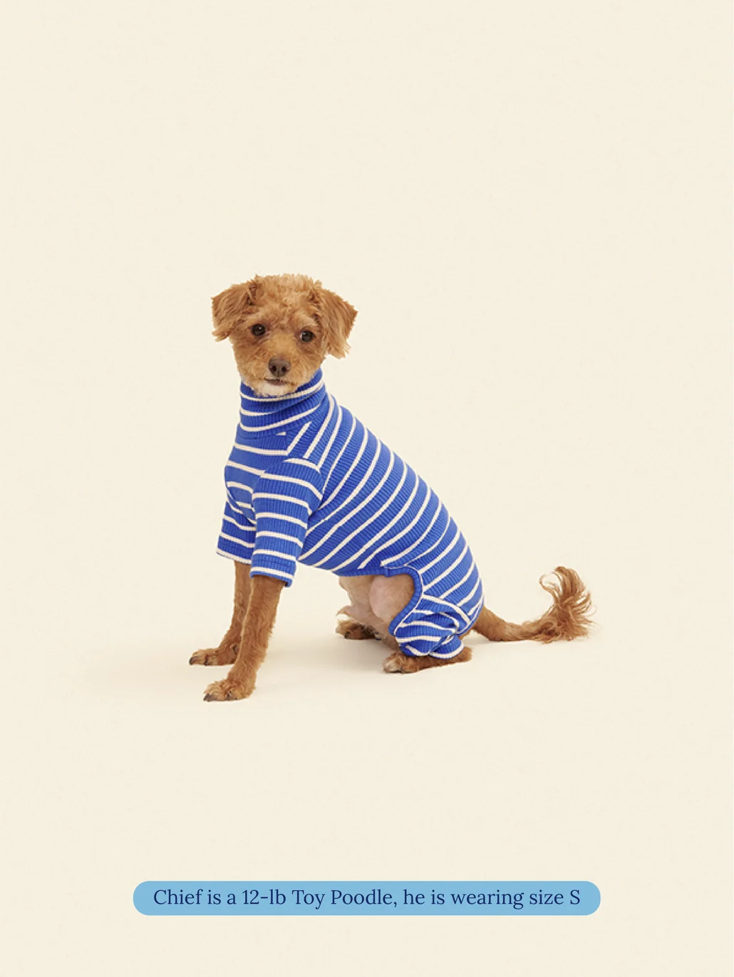 Greek to Me Dog Onesie - Image 3