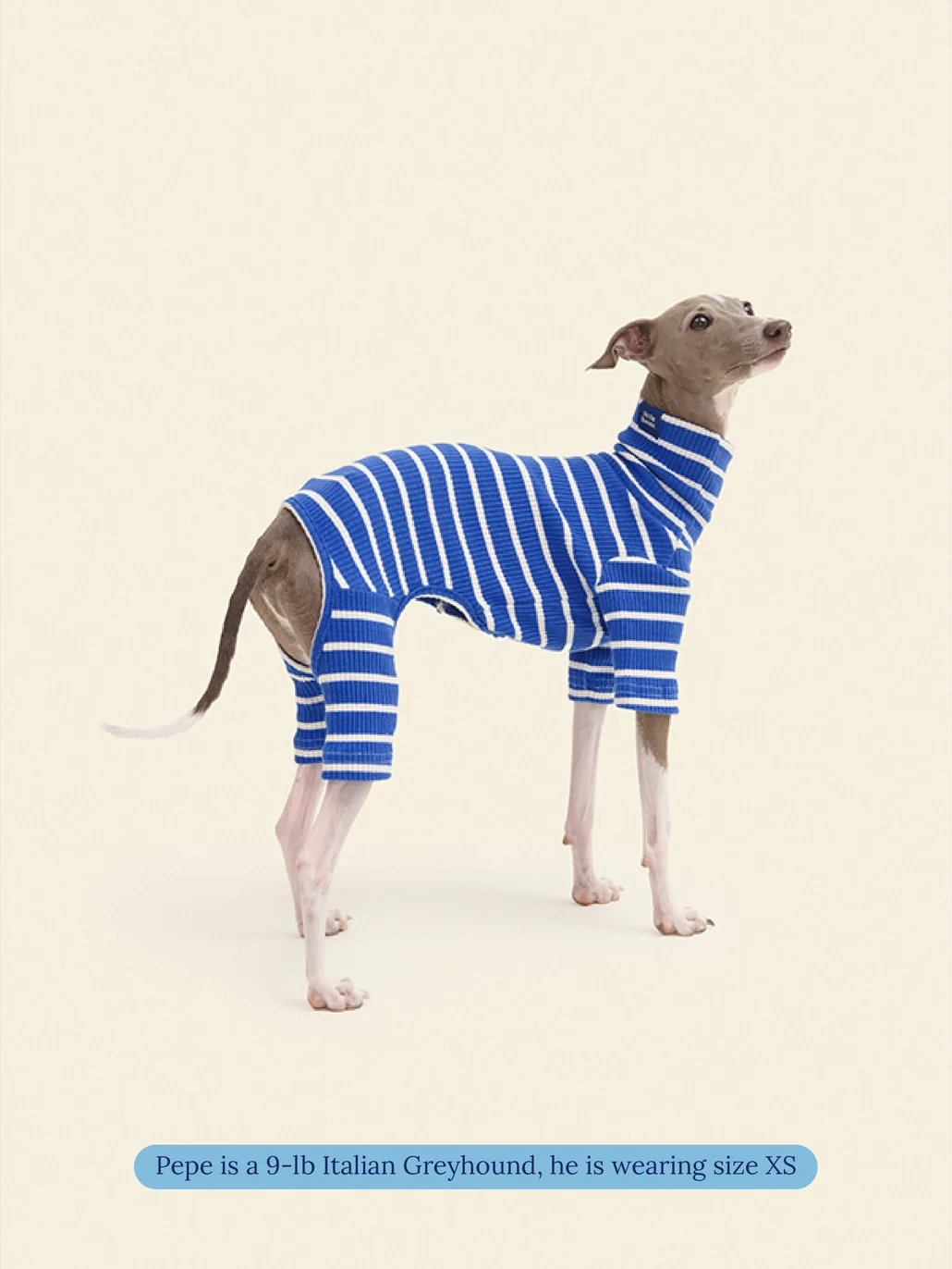 Greek to Me Dog Onesie - Image 4
