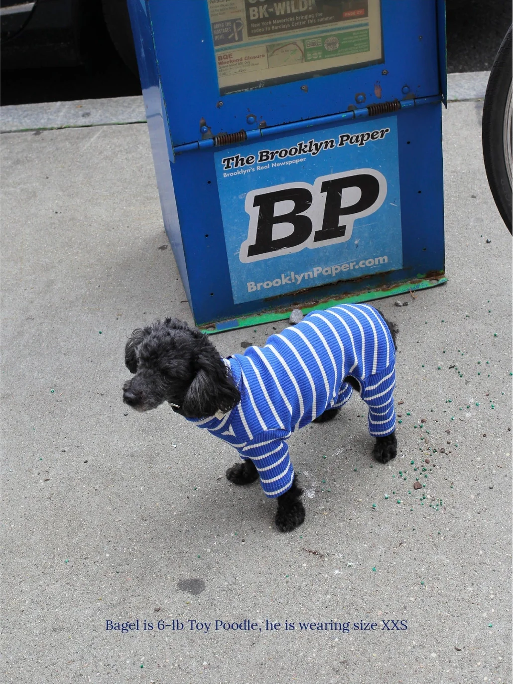 Greek to Me Dog Onesie - Image 6