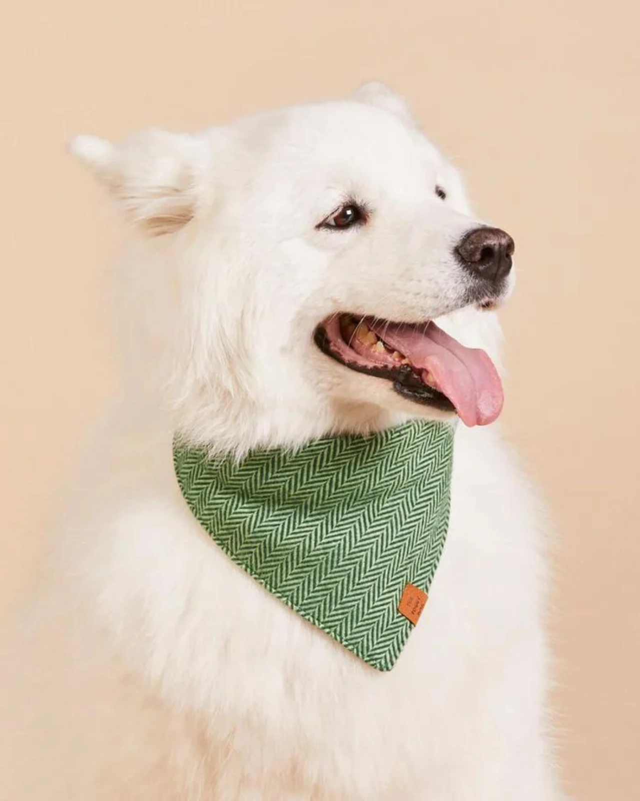Green Herringbone Flannel Dog Bandana (Made in the USA) - Image 2