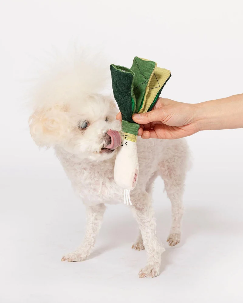 Green Onion Nosework Dog Toy - Image 10