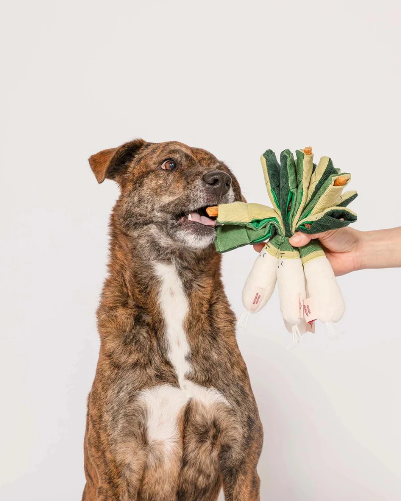 Green Onion Nosework Dog Toy - Image 2