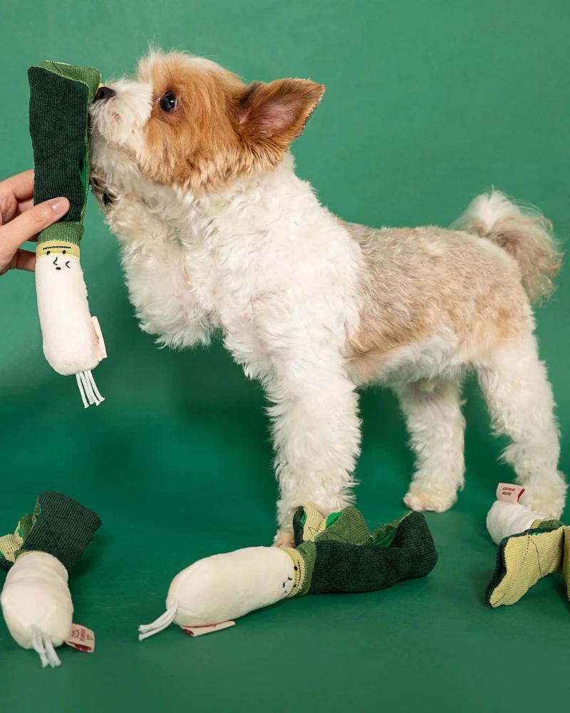 Green Onion Nosework Dog Toy - Image 7