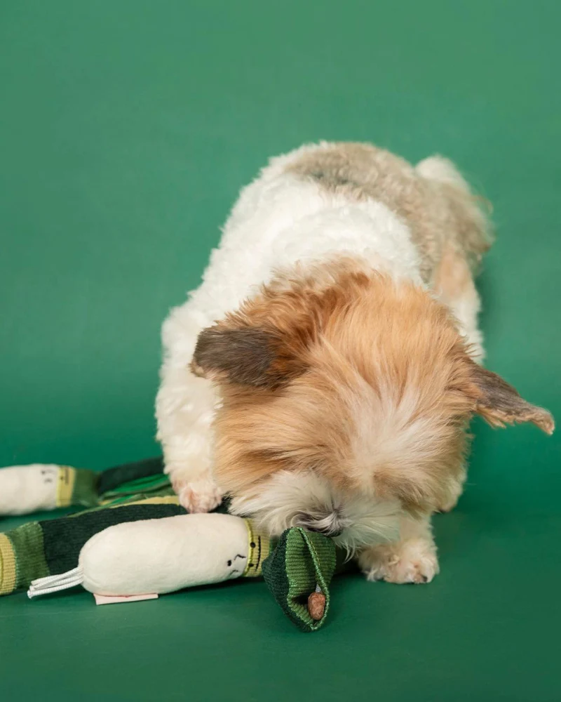 Green Onion Nosework Dog Toy - Image 8