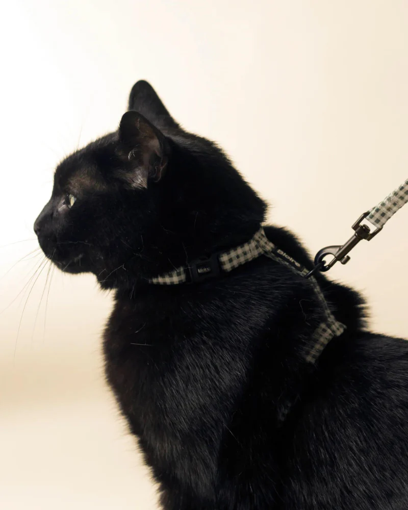 Green Plaid Matching Cat Harness & Leash Set - Image 3