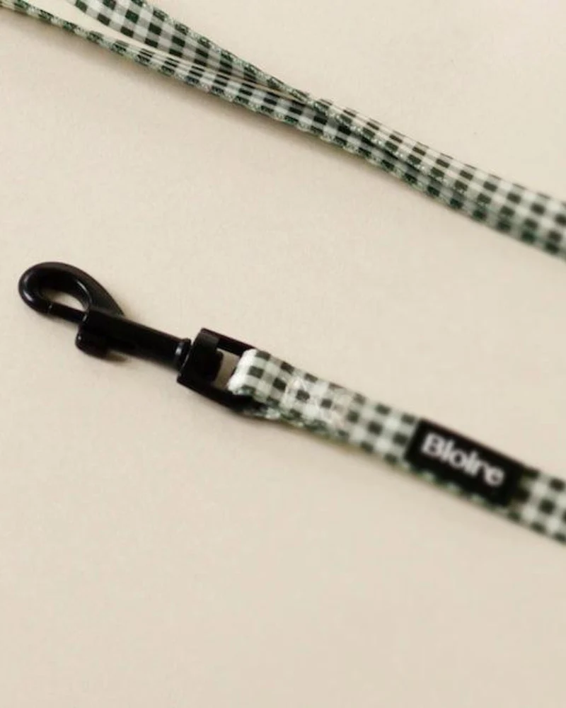 Green Plaid Matching Cat Harness & Leash Set - Image 6