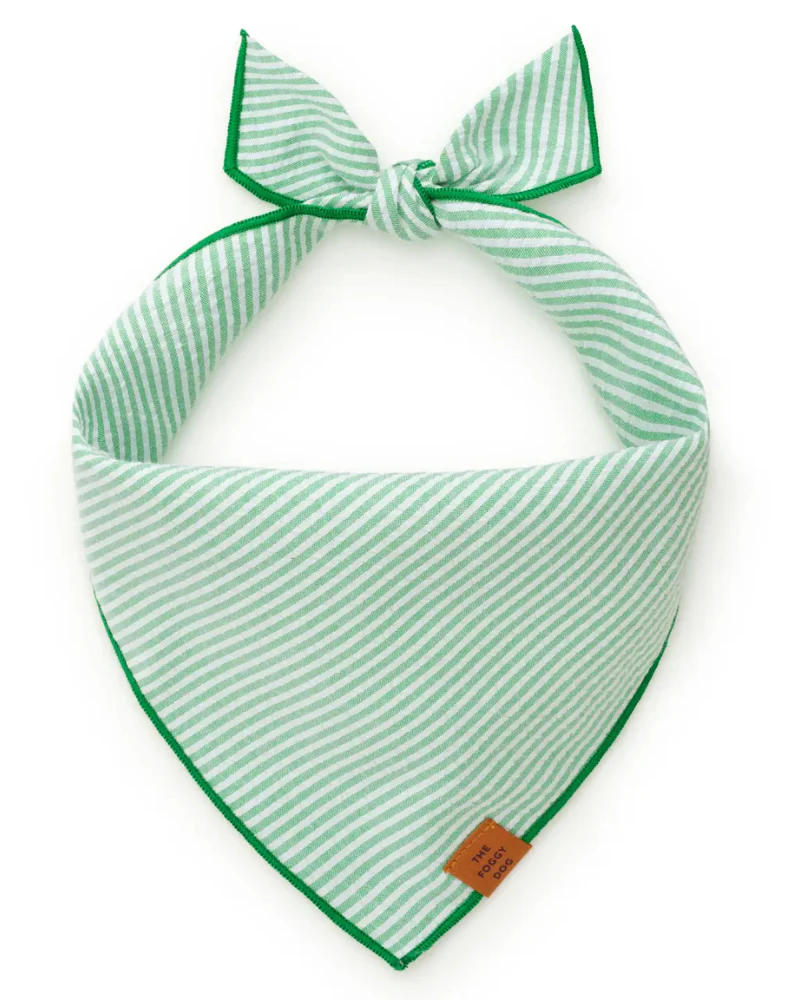 Green Seersucker Dog Bandana - Image 2