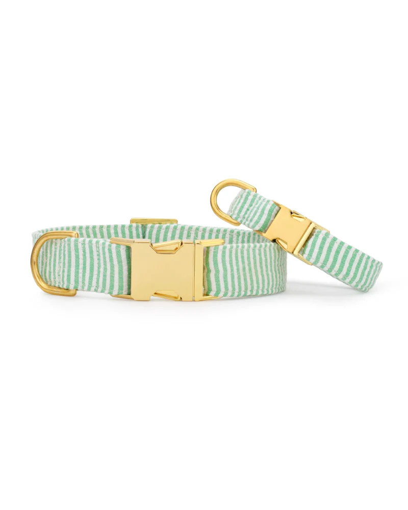 Green Seersucker Dog Collar (Made in the USA) - Image 3