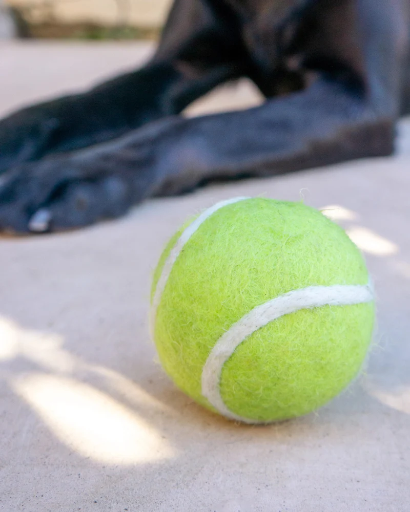 Green Tennis Ball Wool Dog Ball - Image 3