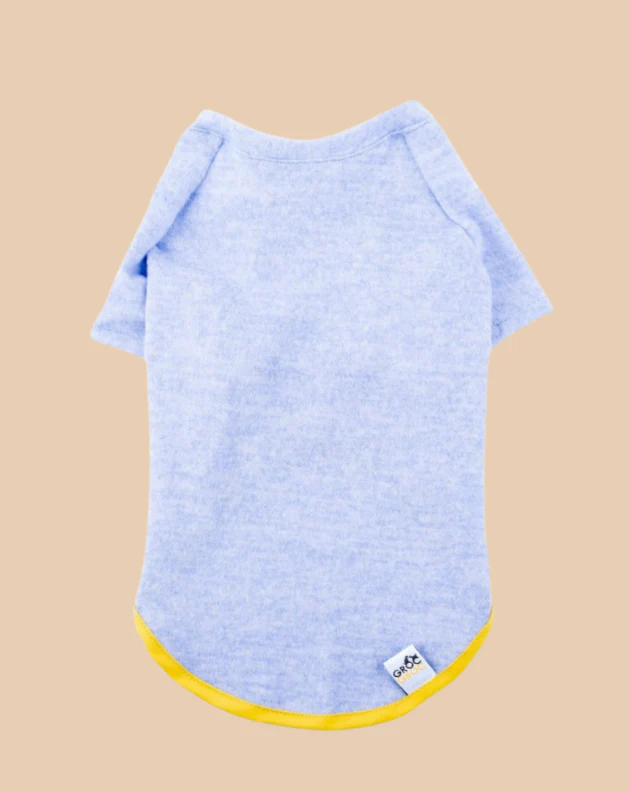 Lightweight Dog T-Shirt in Blue w/ Yellow Trim (Made in Spain) (FINAL SALE) - Image 2