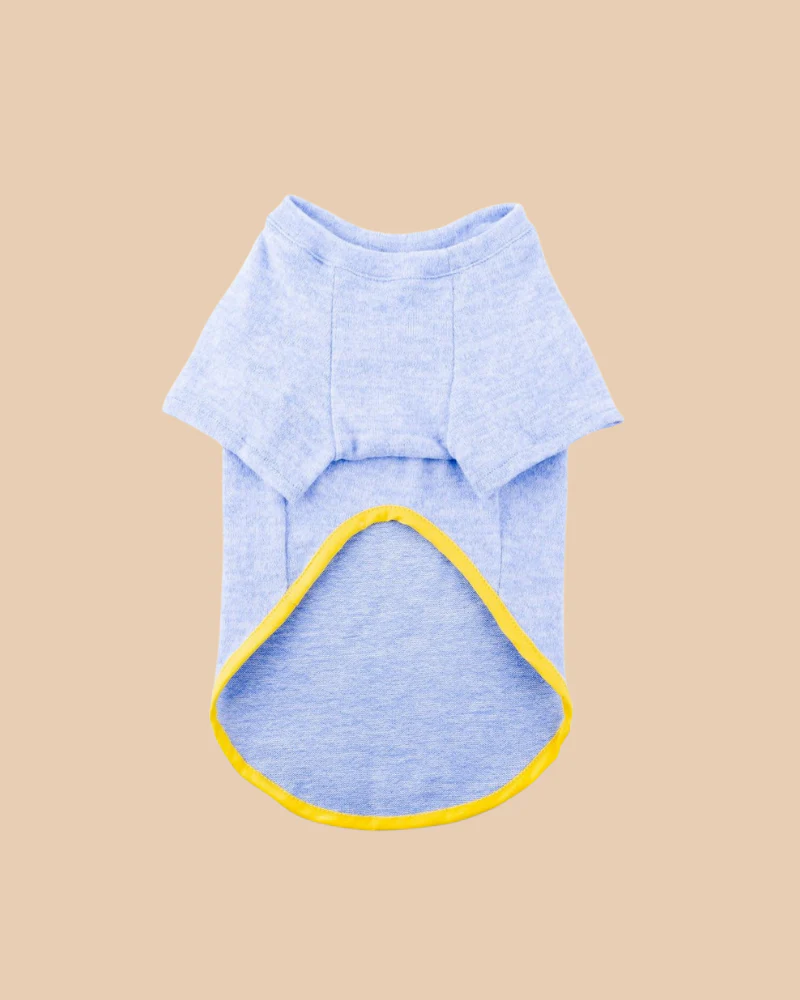 Lightweight Dog T-Shirt in Blue w/ Yellow Trim (Made in Spain) (FINAL SALE) - Image 4