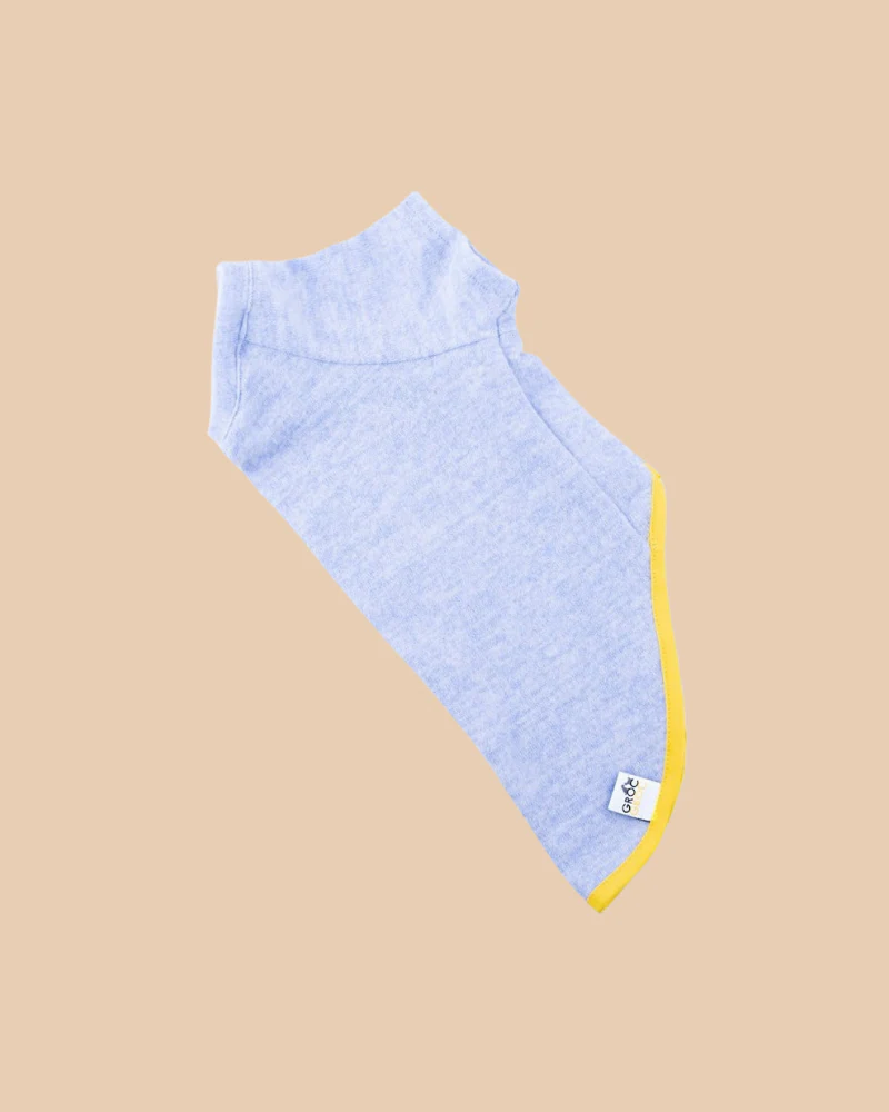 Lightweight Dog T-Shirt in Blue w/ Yellow Trim (Made in Spain) (FINAL SALE) - Image 5