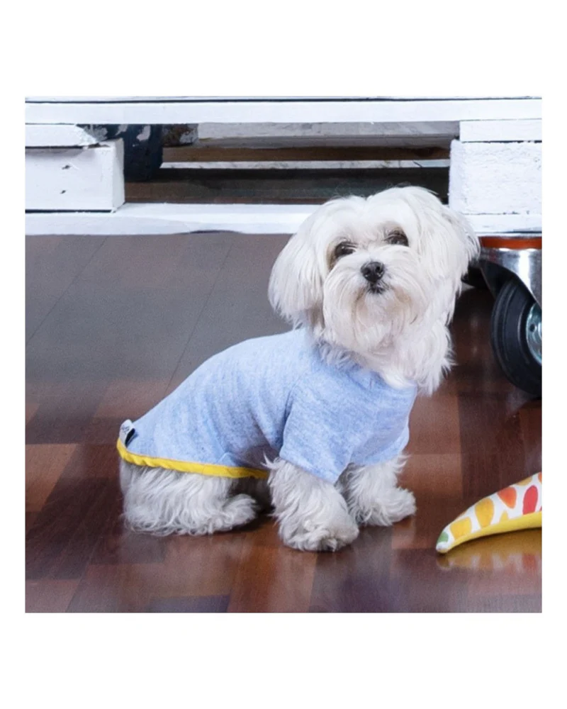 Lightweight Dog T-Shirt in Blue w/ Yellow Trim (Made in Spain) (FINAL SALE) - Image 6