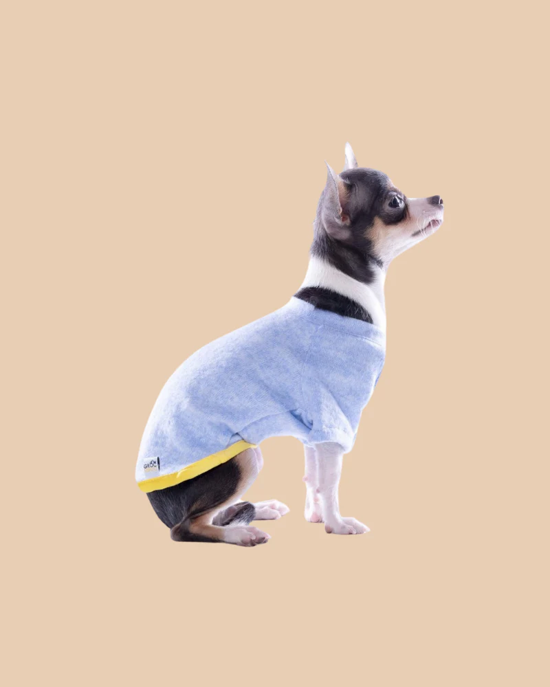 Lightweight Dog T-Shirt in Blue w/ Yellow Trim (Made in Spain) (FINAL SALE) - Image 7