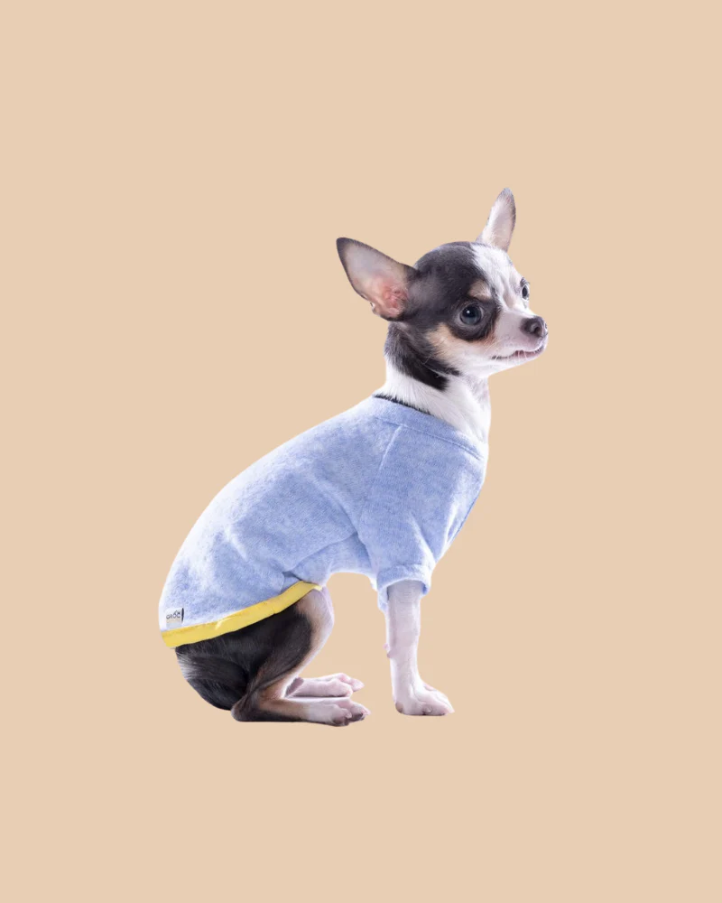 Lightweight Dog T-Shirt in Blue w/ Yellow Trim (Made in Spain) (FINAL SALE) - Image 8