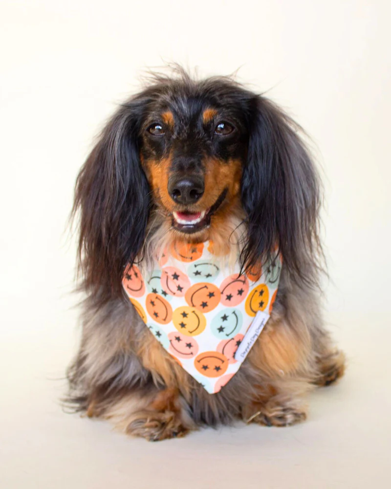 Groovy Smile Dog Bandana (Made in the USA) - Image 2