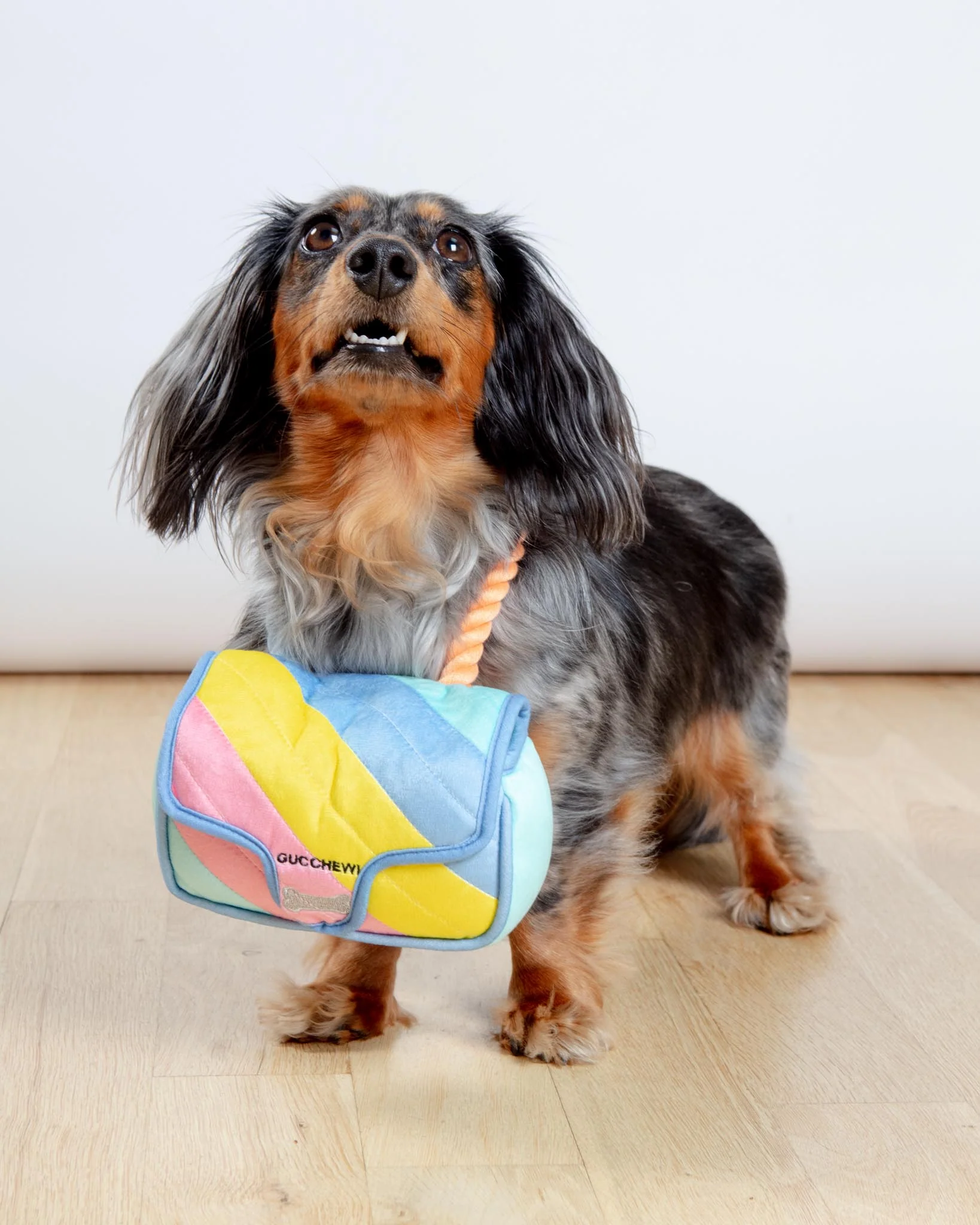 Gucchewy Rainbow Handbag Squeaky Plush Dog Toy (FINAL SALE) - Image 2