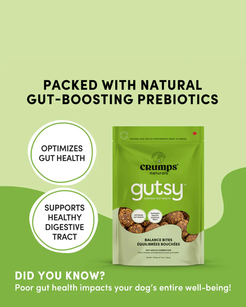 Gutsy Balance Bites Dog Treats - Image 4