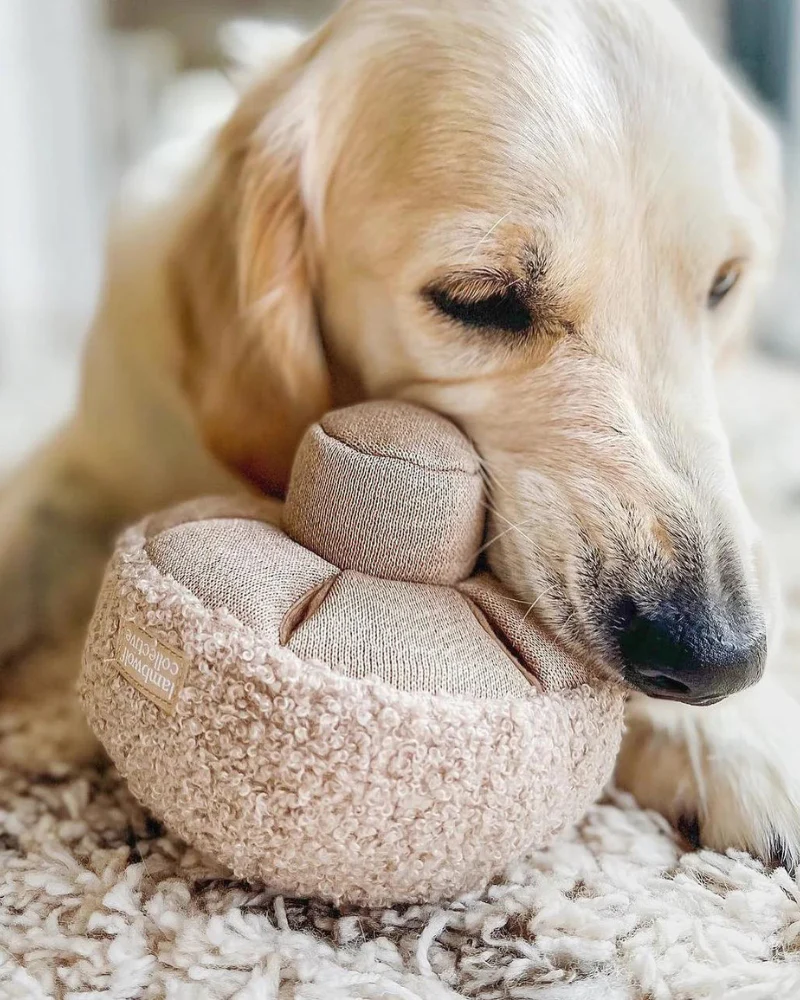 GUU Mushroom Nosework Interactive Toy for Dogs & Cats - Image 11