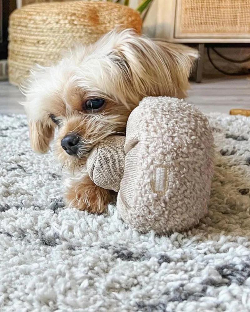GUU Mushroom Nosework Interactive Toy for Dogs & Cats - Image 7