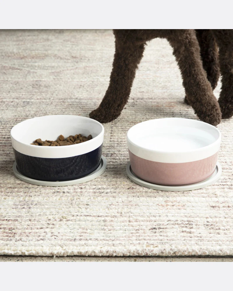 Habit Circle Dog Placemat (Set of 2) - Image 3