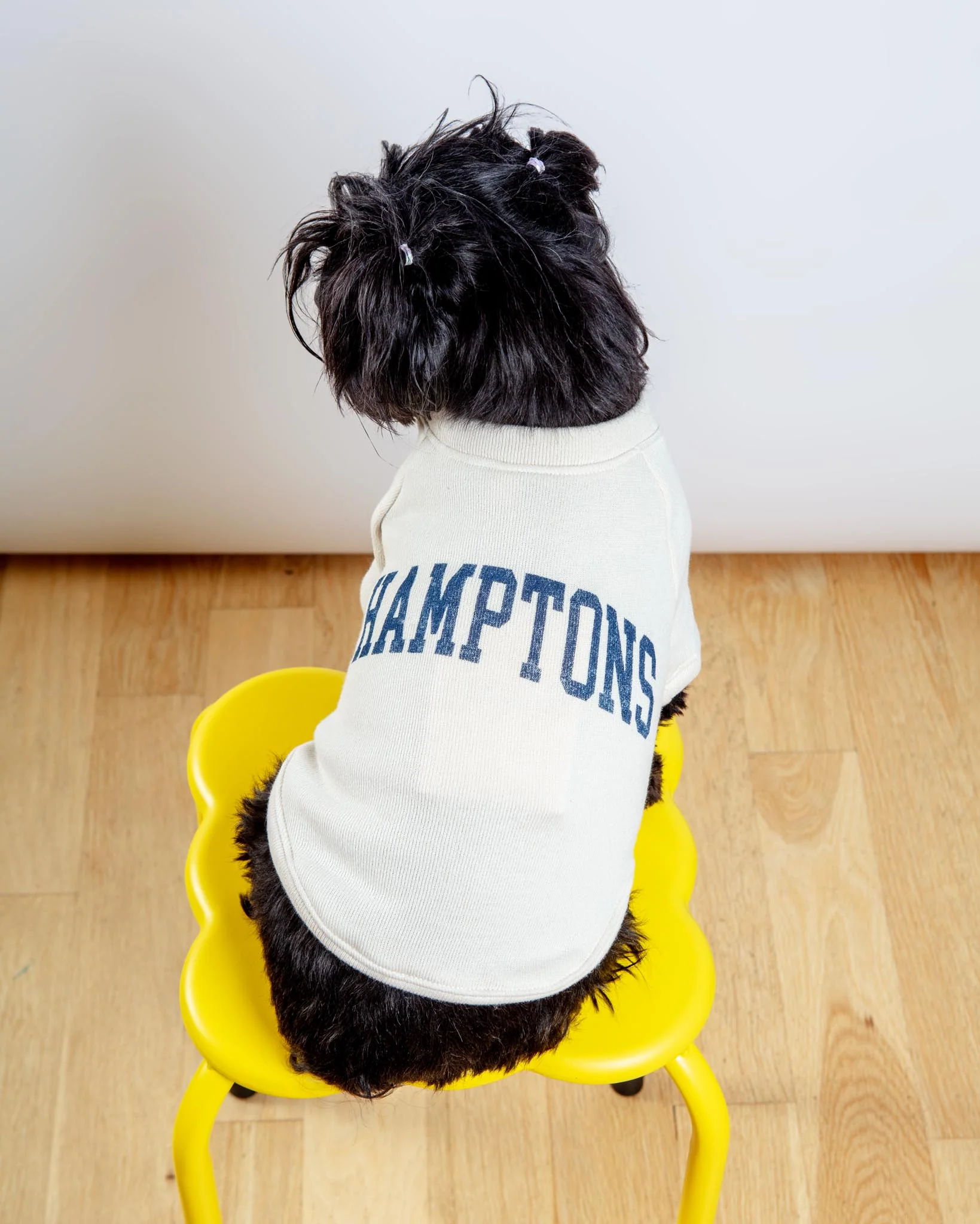Hamptons Dog Sweatshirt in Oat - Image 2