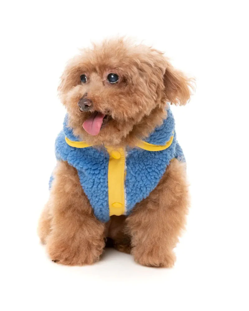 Hana Dog Jacket in Blue (FINAL SALE) - Image 3