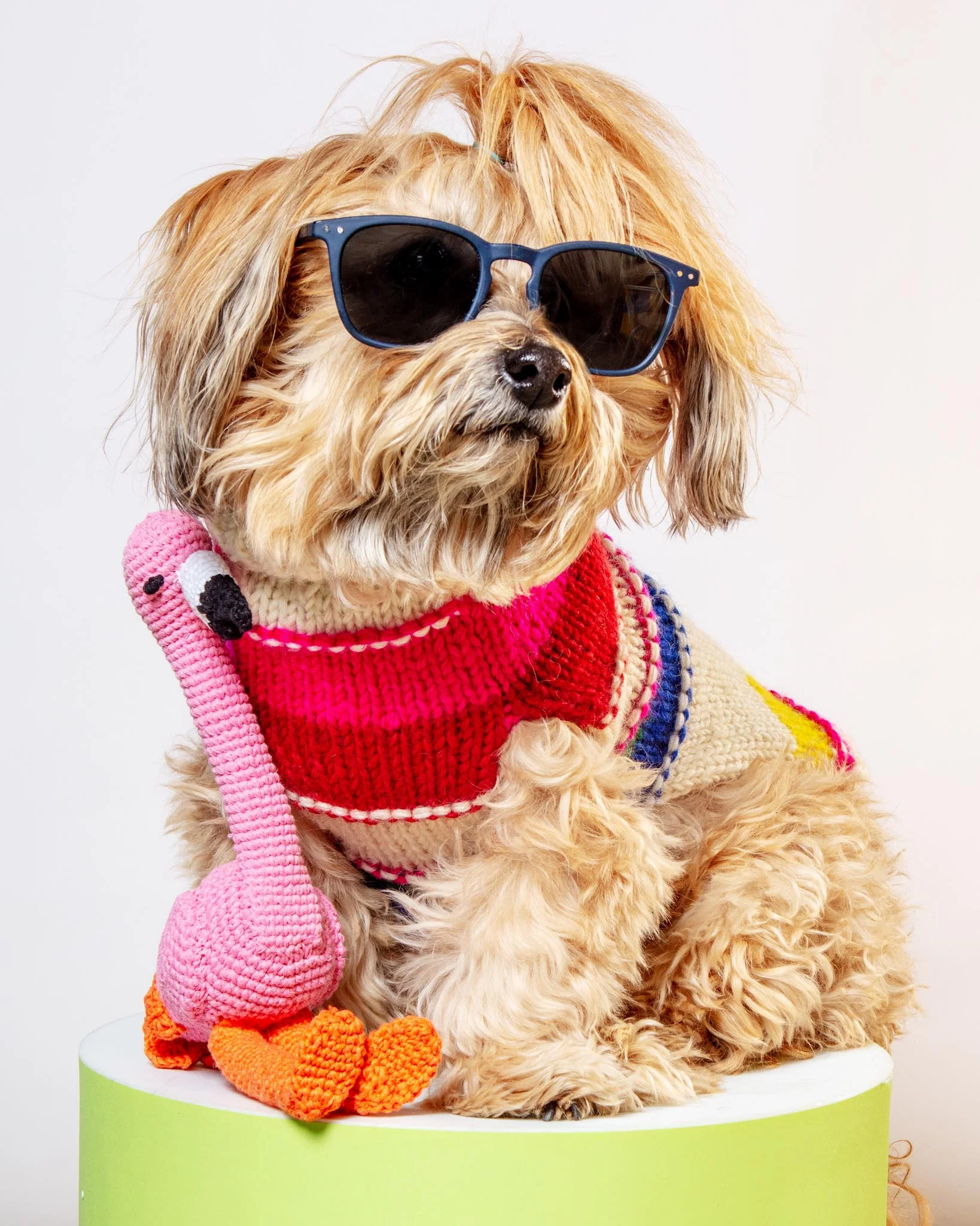 Hand Crochet Flamingo Dog Toy - Image 2