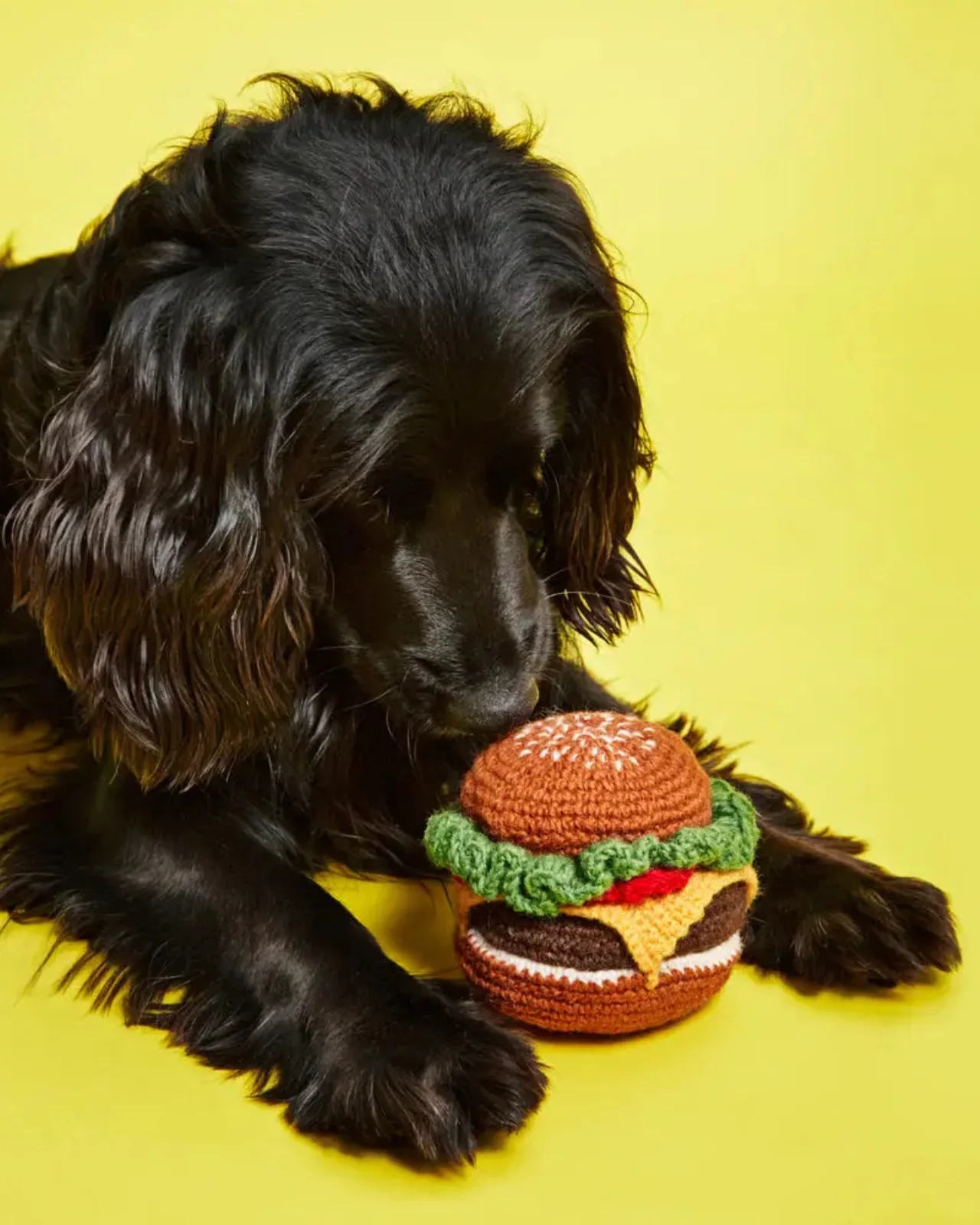 Hand Knit Hamburger Dog Toy - Image 2