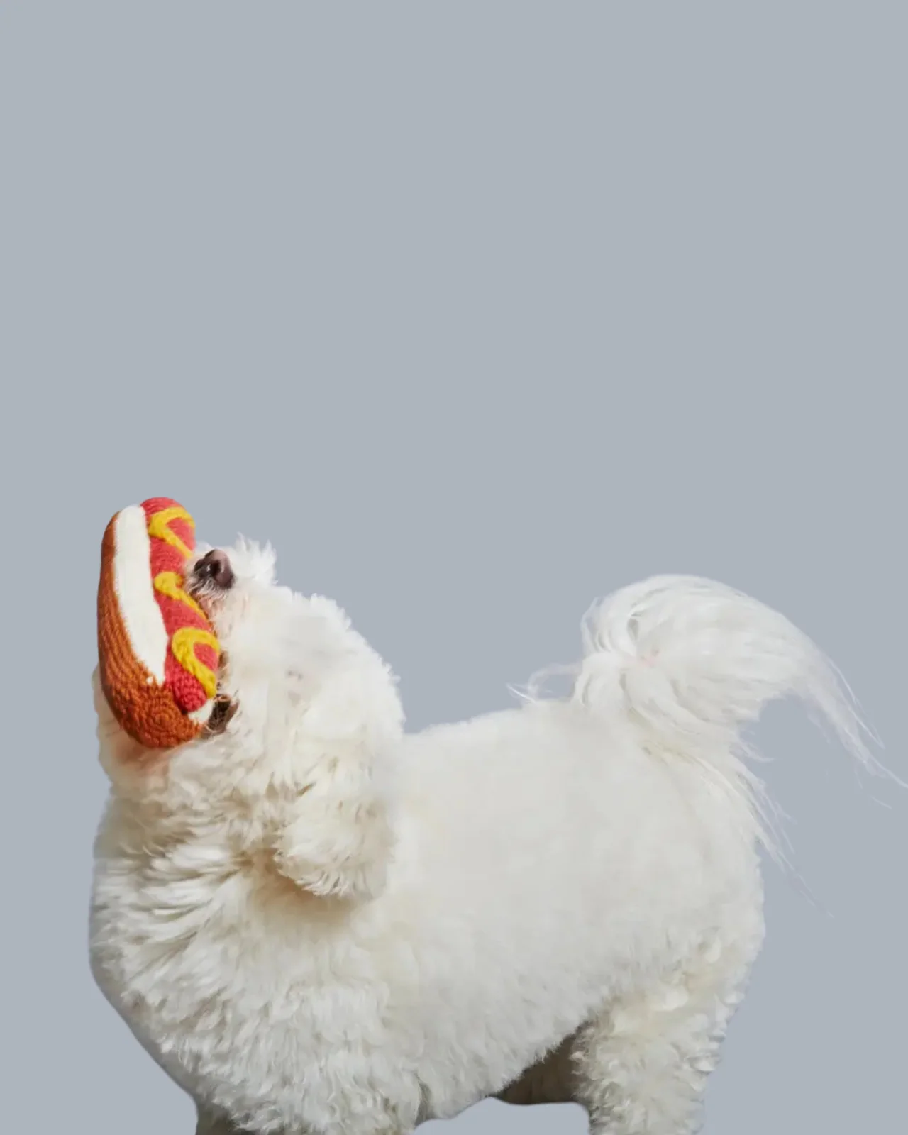 Hand Knit Hot Dog Dog Toy - Image 2