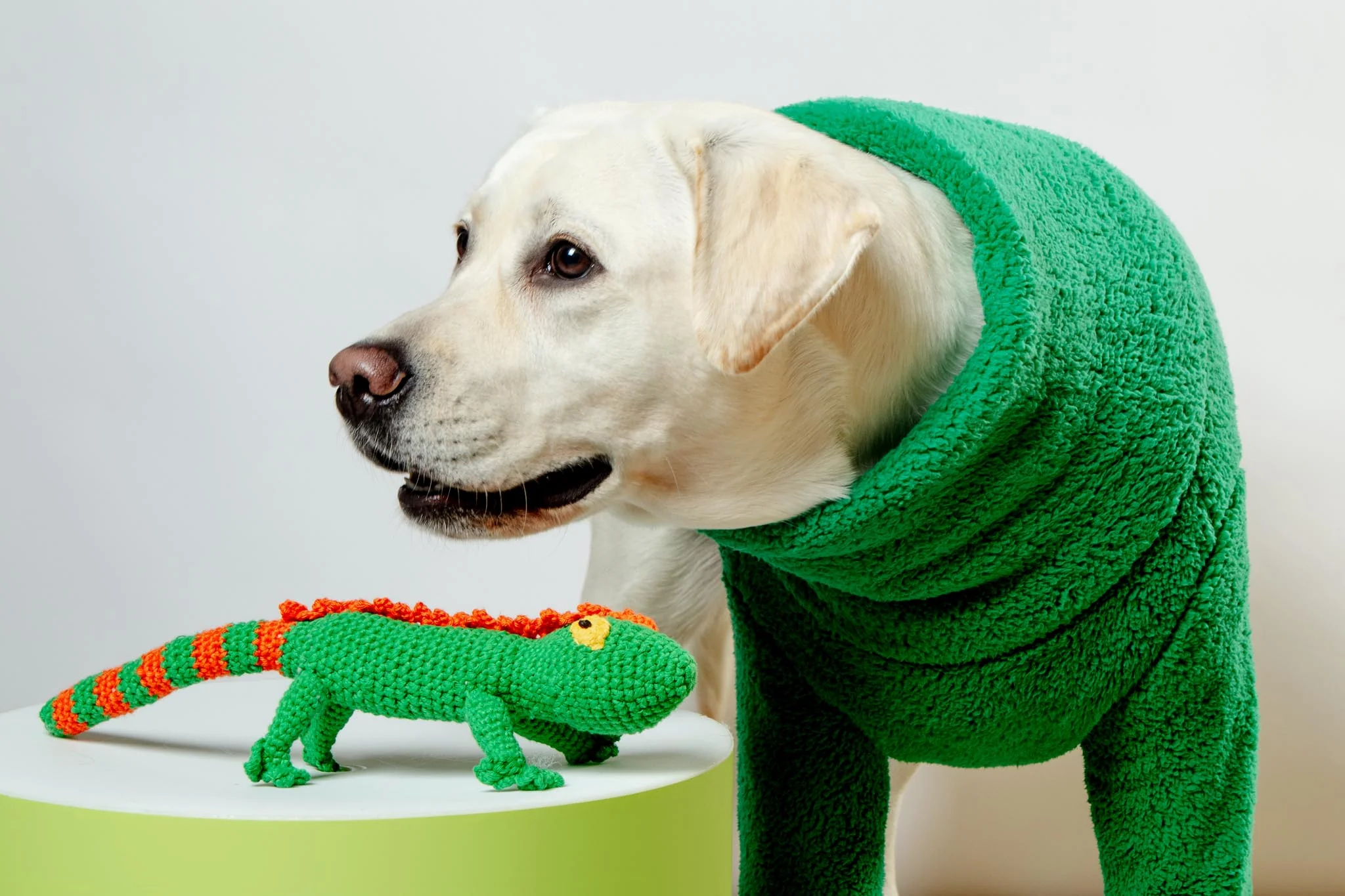 Hand Crochet Lizard Dog Toy - Image 2