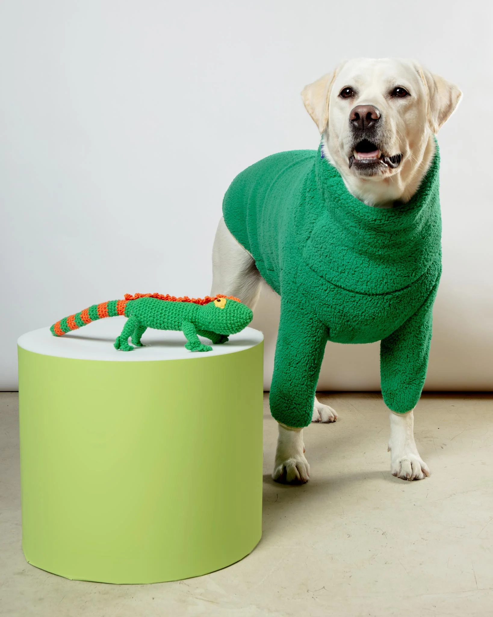 Hand Crochet Lizard Dog Toy - Image 3
