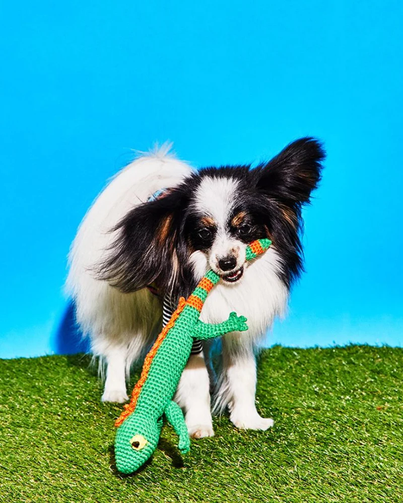 Hand Crochet Lizard Dog Toy - Image 5