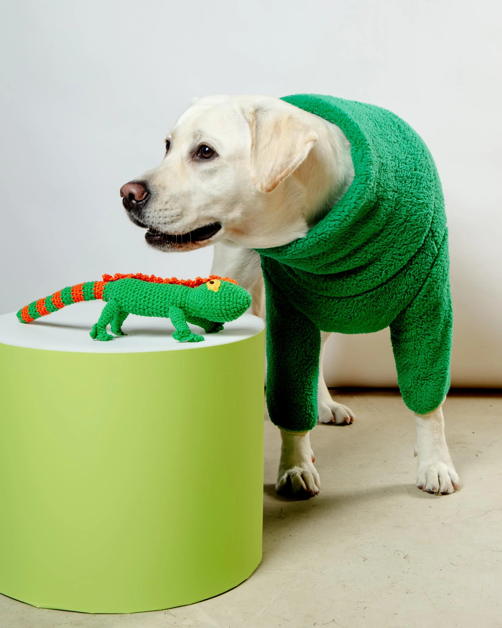 Hand Crochet Lizard Dog Toy - Image 7