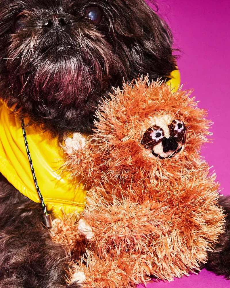 Hand Crochet Sloth Dog Toy - Image 2