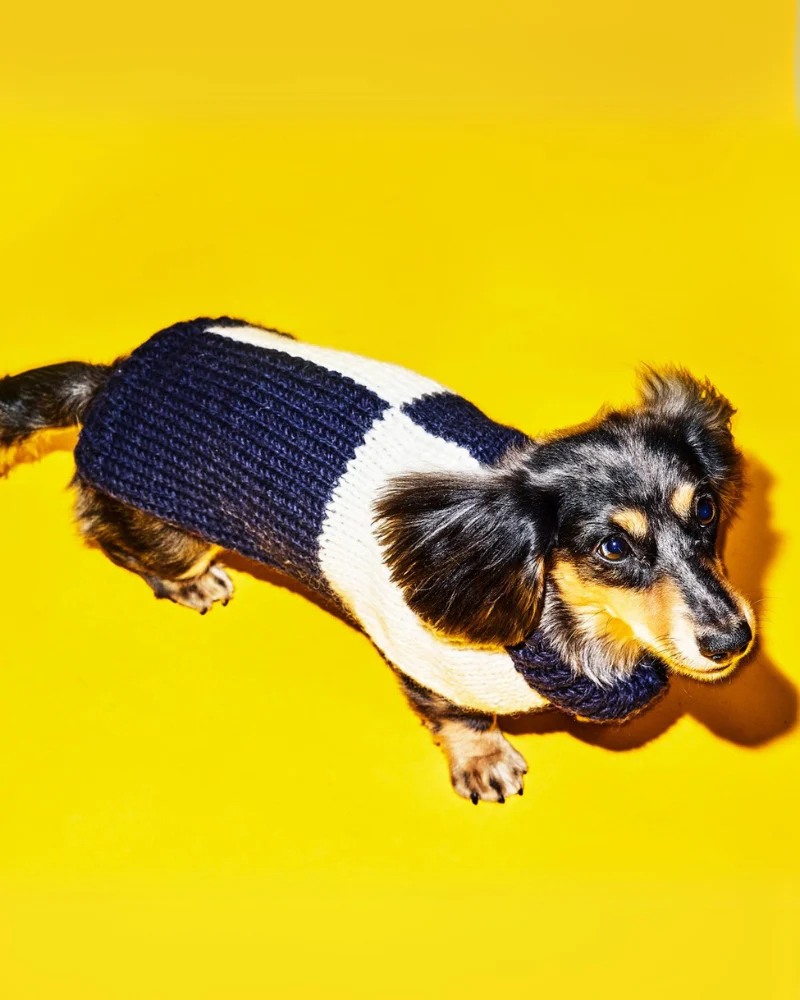 Hand Knit Checkered Wool Dog Sweater (Navy & White) (FINAL SALE)