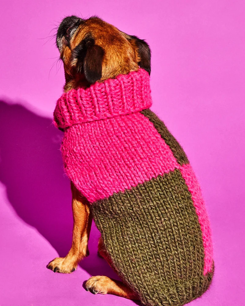 Hand Knit Checkered Wool Dog Sweater (Pink & Green) (FINAL SALE) - Image 2