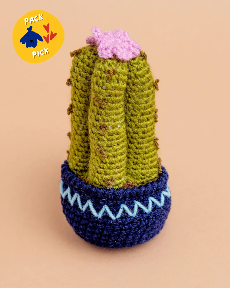 Hand-Knit Cactus Squeaky Dog Toy (FINAL SALE)